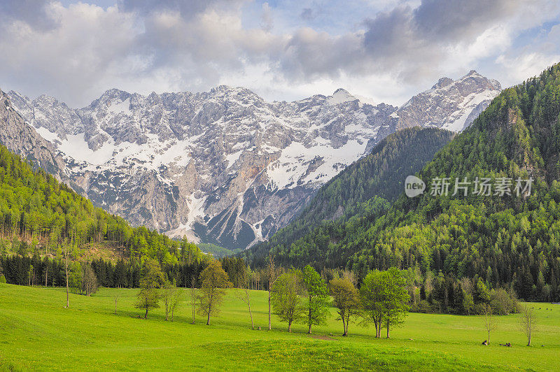 Zgornje Jezersko山谷春景